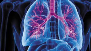 Mantén tus pulmones sanos con estos tips